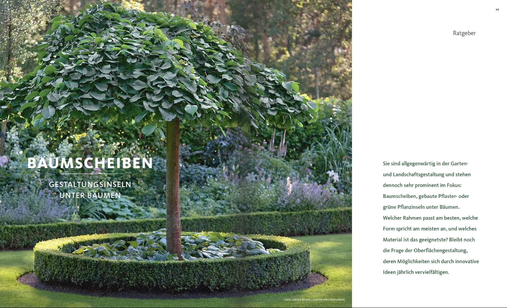 GARTENDESIGN INSPIRATION 1/2018: Baumscheiben