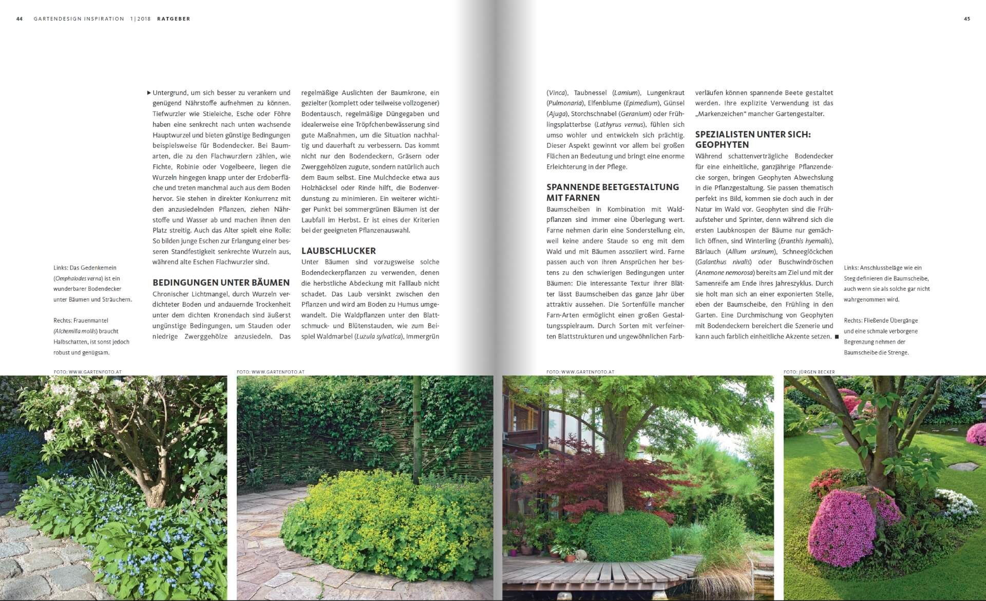 GARTENDESIGN INSPIRATION 1/2018: Baumscheiben