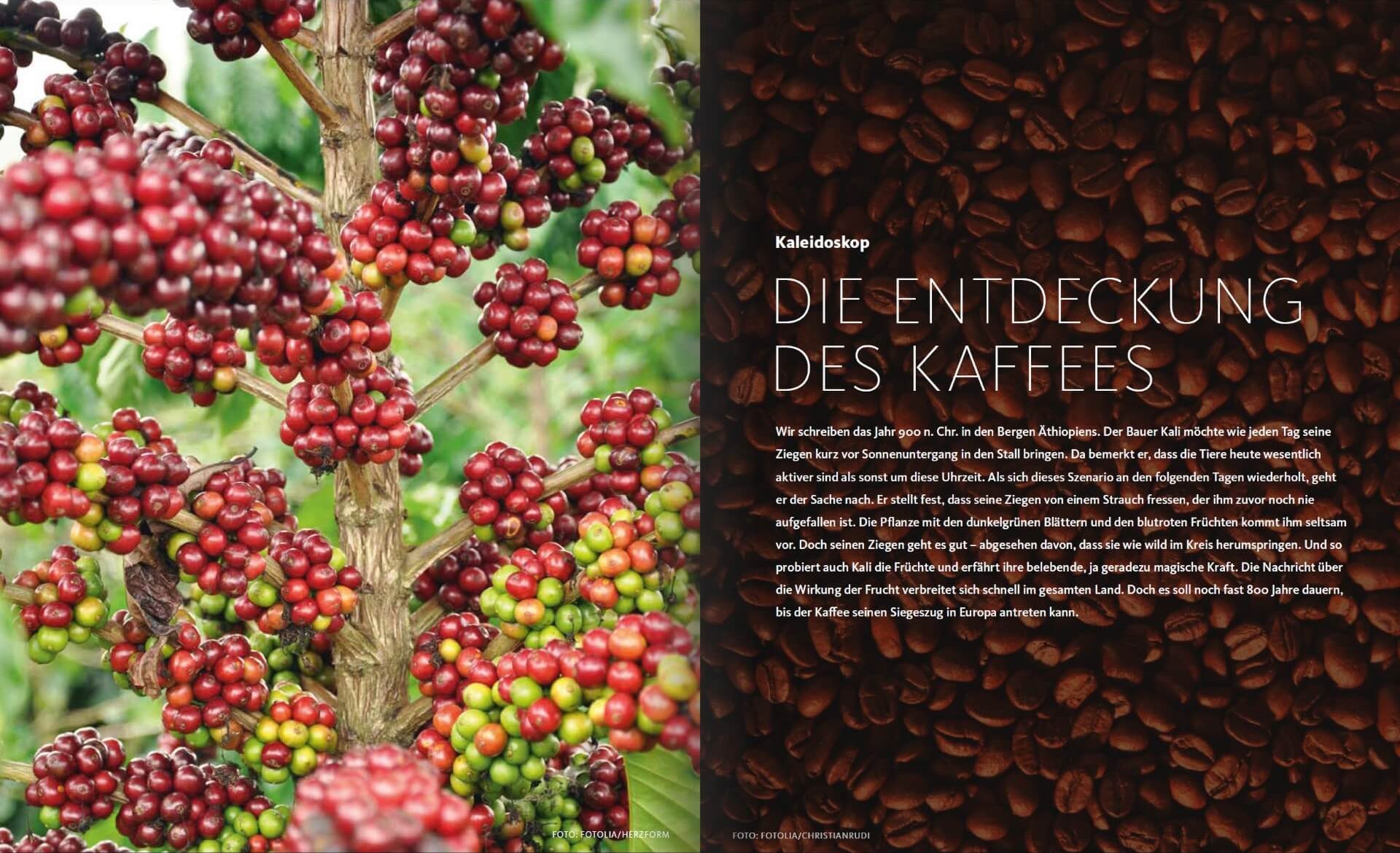 GARTENDESIGN INSPIRATION 4/2017: Entdeckung des Kaffees