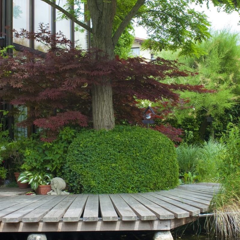 Schwimmteich im Garten