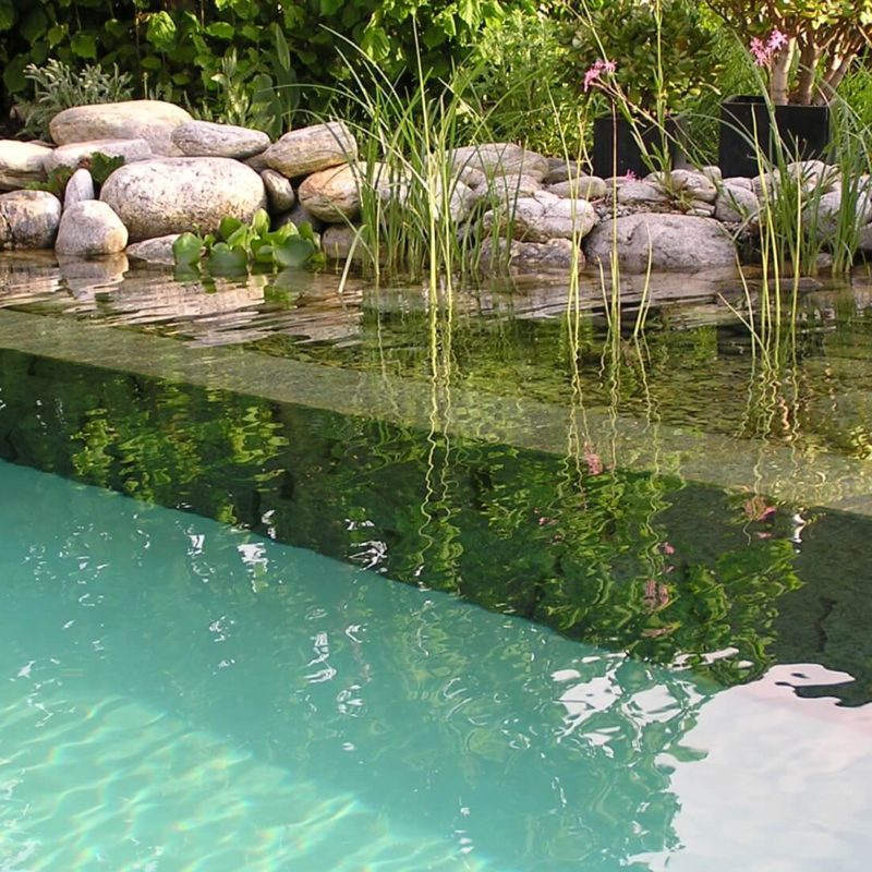 Pool for Nature Naturpool