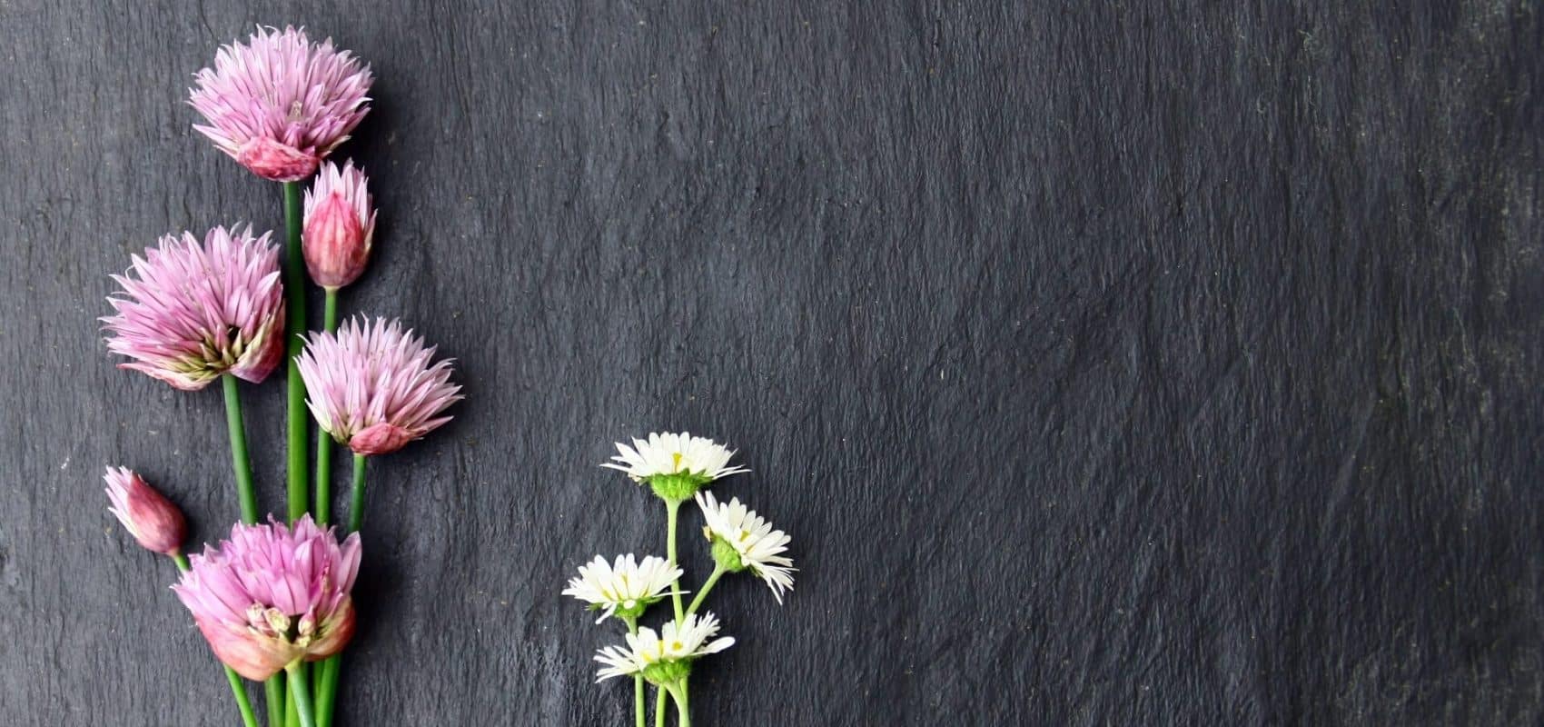 ESSBARE STAUDENMISCHUNGEN AUS DEM GARTEN