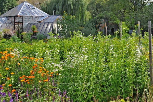 Gartenanlage Künstlergarten