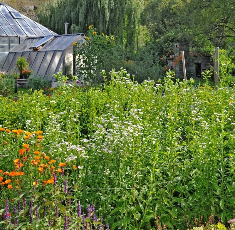 Gartenanlage Künstlergarten