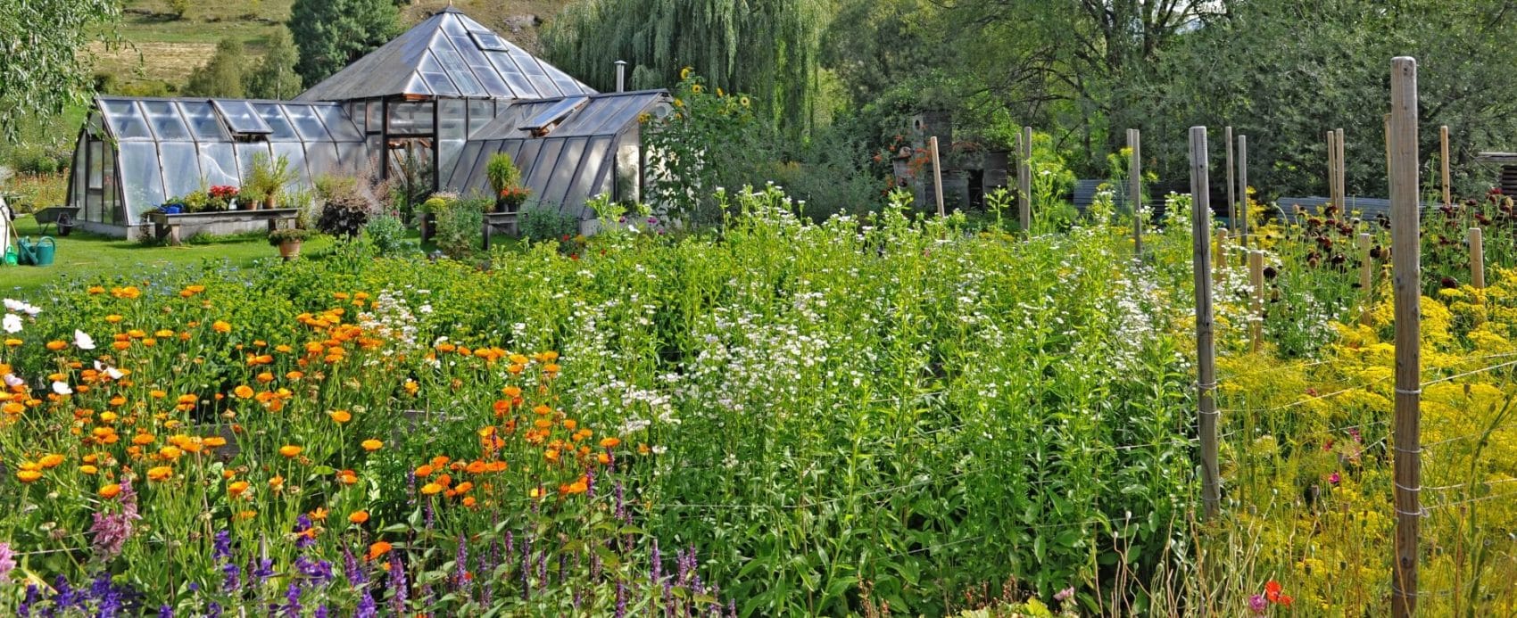 BLÜTEN AUS DEM KÜNSTLERGARTEN