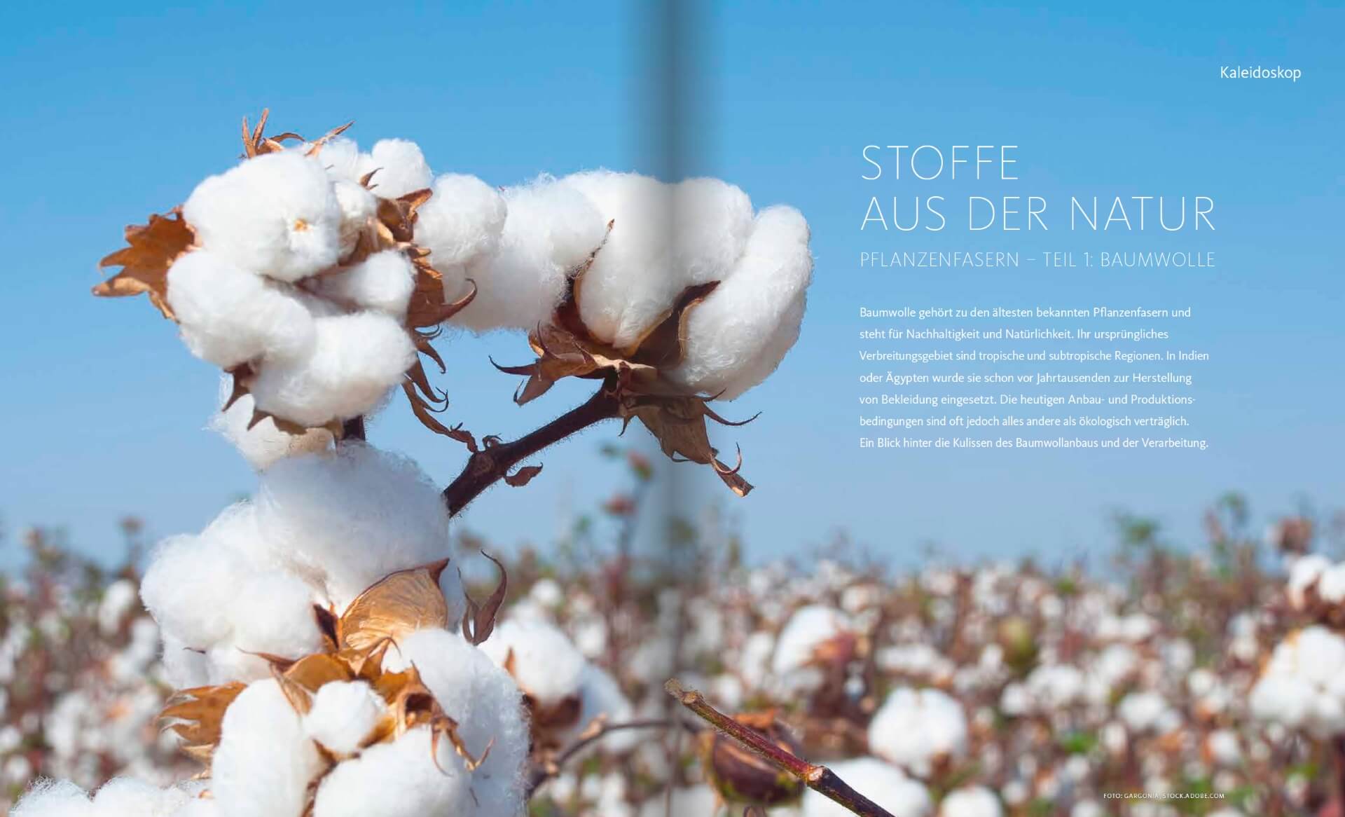 GARTENDESIGN INSPIRATION Ausgabe 1/2019: Pflanzenfasern - Stoffe aus Baumwolle