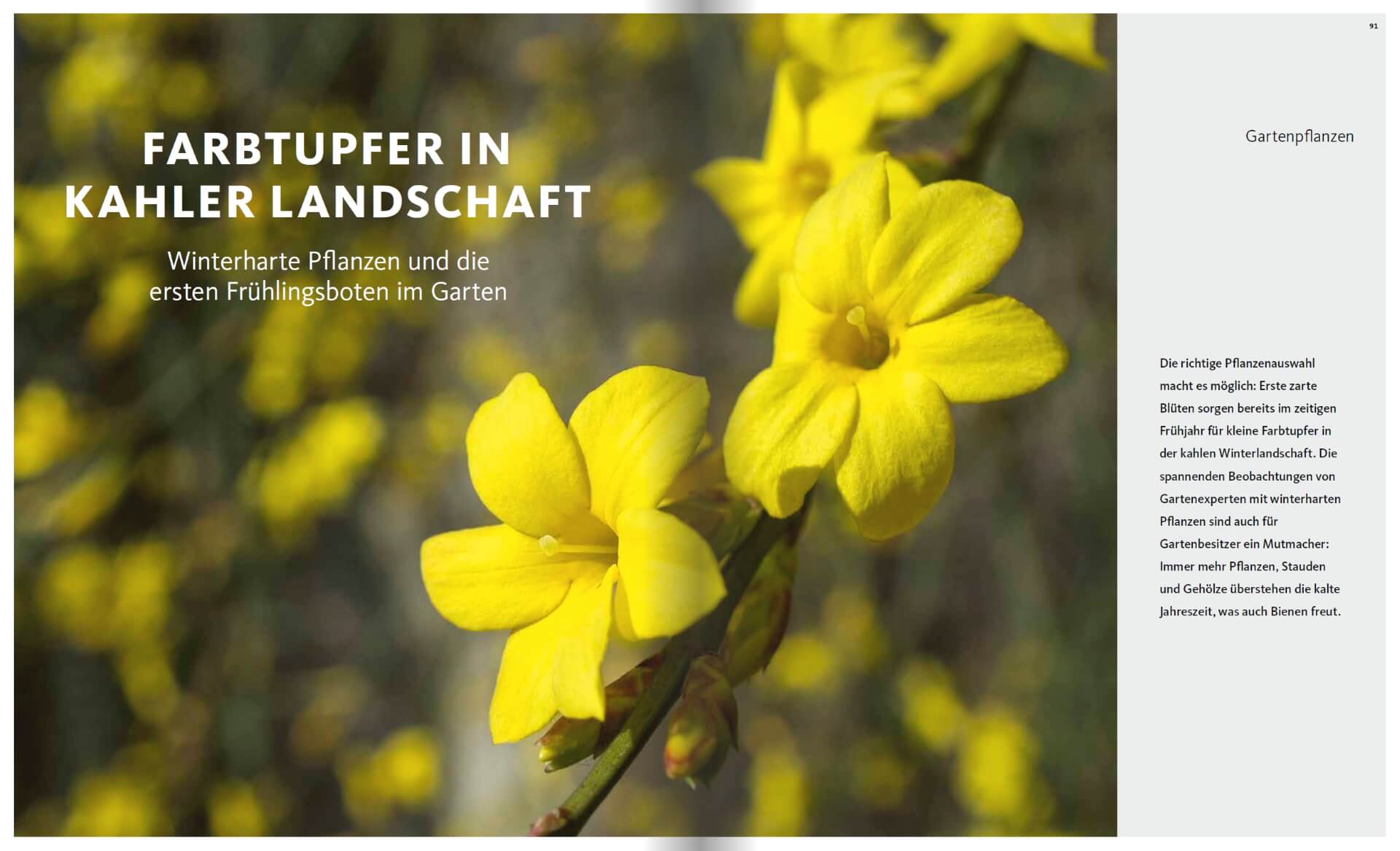 GARTENDESIGN INSPIRATION Ausgabe 1/2019: Winterharte Pflanzen im Garten