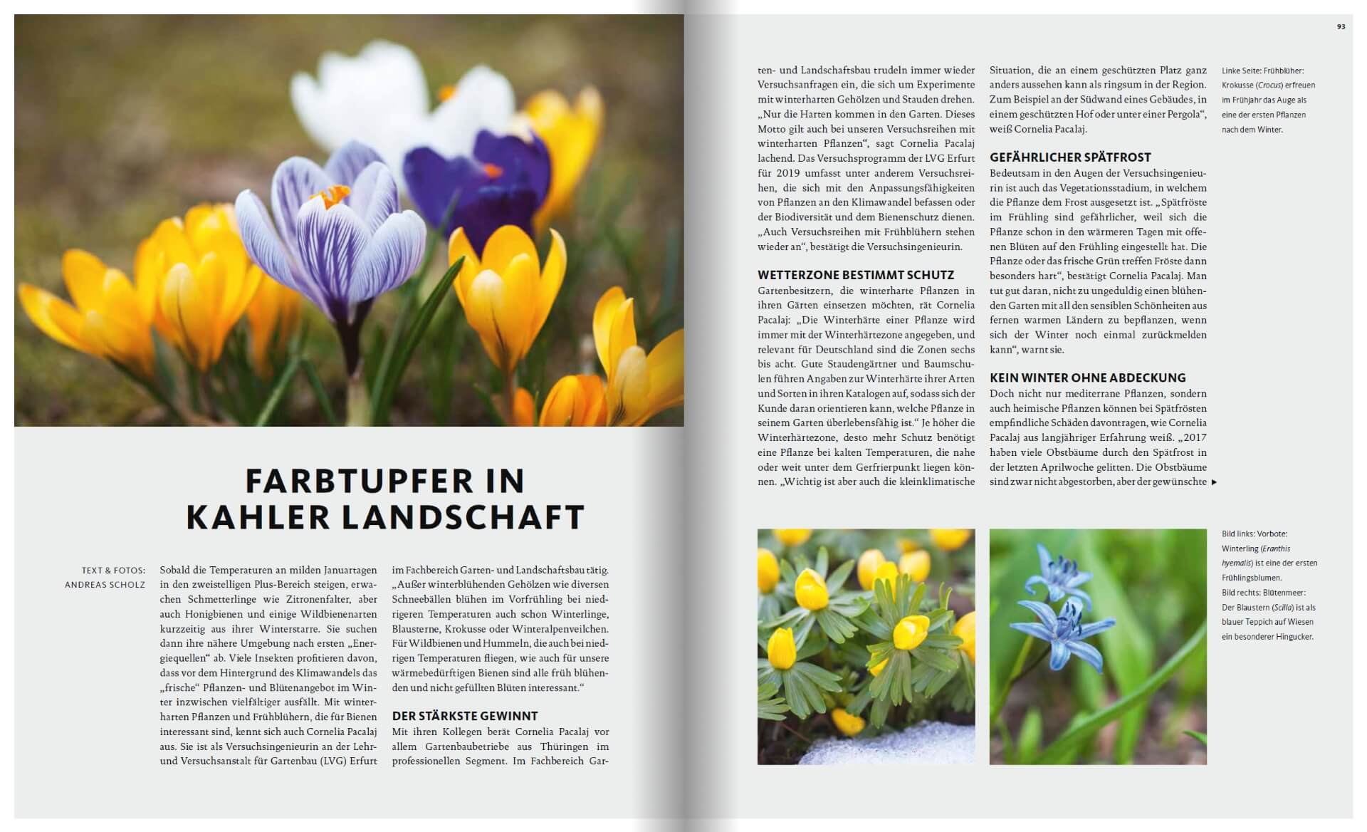 GARTENDESIGN INSPIRATION Ausgabe 1/2019: Winterharte Pflanzen im Garten