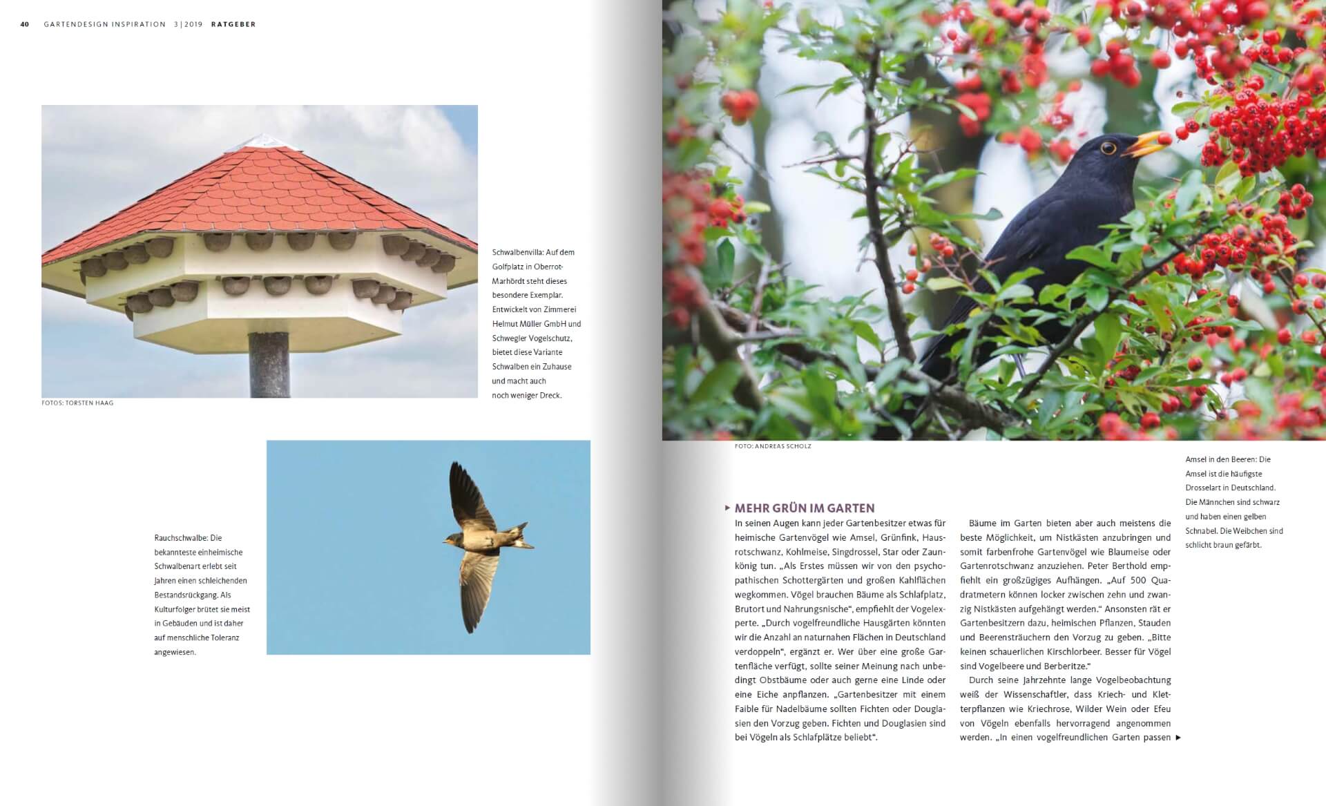 GARTENDESIGN INSPIRATION Ausgabe 3/2019: Mehr Vogelgezwitscher im Garten