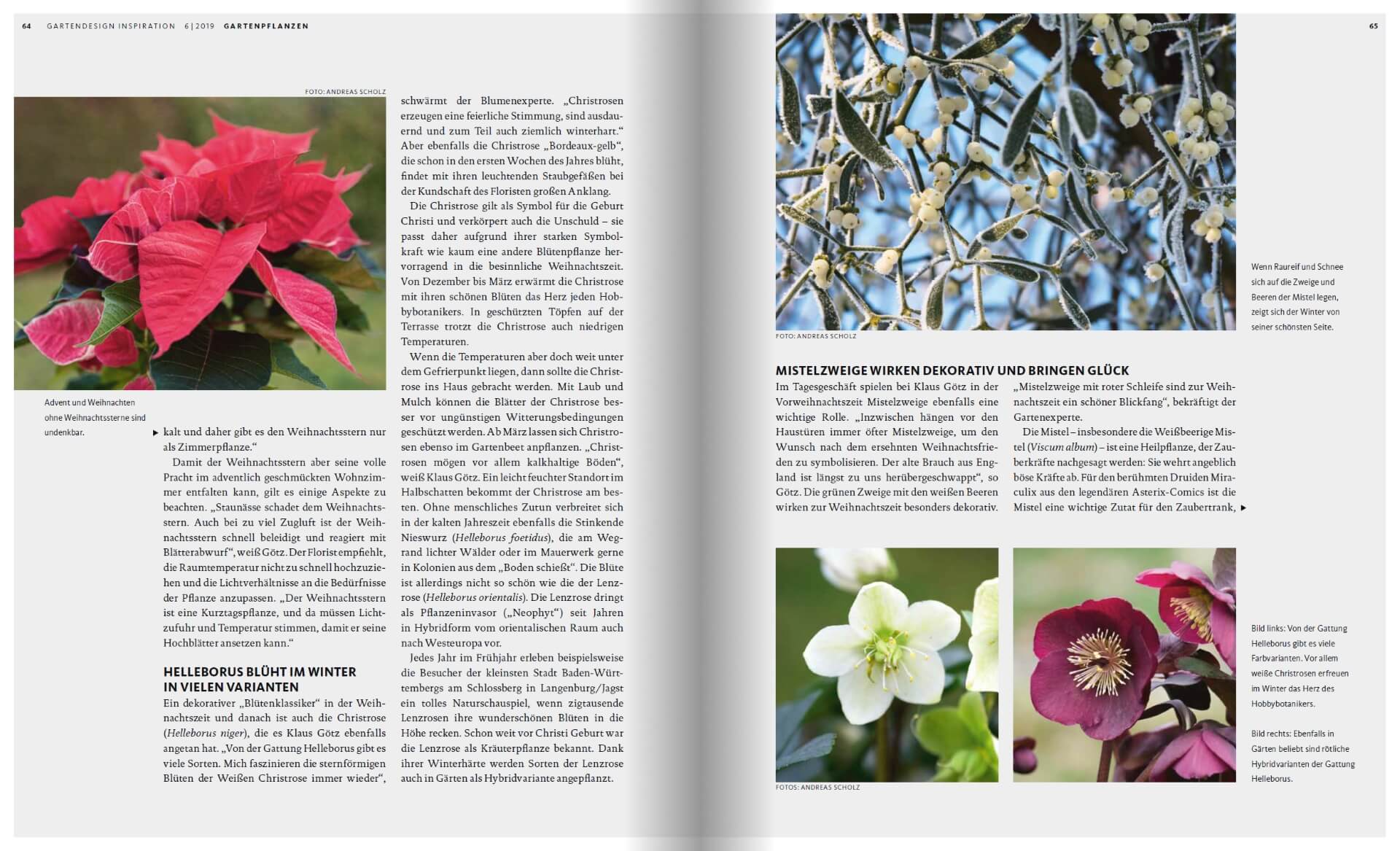 GARTENDESIGN INSPIRATION Ausgabe 6/2019: Gartenpflanzen und Farbenpracht im Winter
