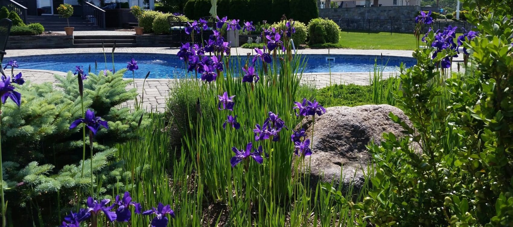 NATURPOOLS